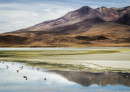 Do Atacama ao Salar de Uyuni – as dicas de Izabel e Pedro